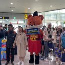 전남도 무안국제공항 ‘무사증’ 연장...외국인관광객 유치 날개[e미래뉴스] 이미지