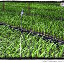 호현농장 이미지