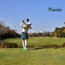 테디밸리CC | 제주도 골프 예약 잔디 컨디션 좋은 제주 테디밸리cc 후기