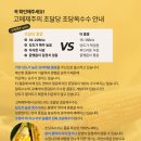 지금애월 이미지