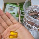 (주)스마트오일 | 저속노화 파지티브호텔 올리브오일 캡슐 쿠파주