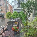 미밀 | 전주 인후동 점심 함박스테이크 오므라이스 경양식 맛집 미밀