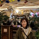 벨라지오호텔 이미지