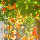 또다른이야기 이미지