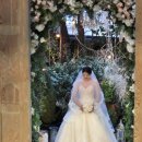 토브 | 토브헤세드 본식 후기