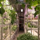 고추연구소농장 이미지