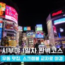 일과1교차로 2 | 도쿄 여행 1일차, 시부야 스크램블 교차로 야경 &amp; 인생 우동 맛집 멘키야시마 후기