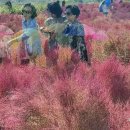 풍경공원 Daum카페