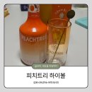 피치트리 하이볼 만들기 세트 후기 집에서 간단하게 즐기는 피치트리 하이볼 레시피