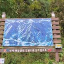 영월 구룡산&된불데기산(2023. 10. 8) 이미지