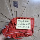 미즈노 프로 이치로 외야 / 미즈노 프로 슈프림 엘리트 외야 / 모리모토 선동열 투수 이미지