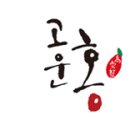 디자인루트컴퍼니