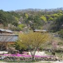 운수대통마을 이미지