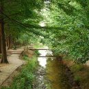 한가로이 경주 이미지