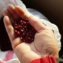 장전서당골 영농조합법인 이미지