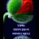 좋은세상좋은사람