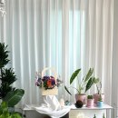 해나의정원 이미지