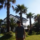 제주리조텔 이미지