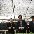법인대농