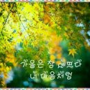 배따라기