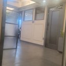 면도 101-2L | 25年 4月 뚜벅이 캠핑