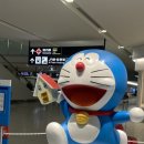 석포농장4 | [4박 5일 삿포로 여행 일기] DAY0,1,2 (비에이 버스투어 추천, 숙소 위치 소소한 꿀팁,,?)