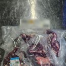 소신흑염소 이미지