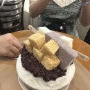 카페담장