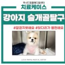 신내동물병원 이미지