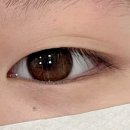 [전주 다엘] 속눈썹 펌 후기