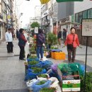 번개시장 이미지