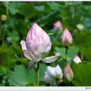 동학농민혁명 유적지 이미지