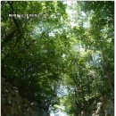 파인웰스 이미지