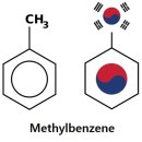 사상체질 분자 구조식(Sasang structural formula) 이미지