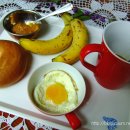 염소꿈농원 이미지