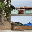 화진리 구진마을 앉은 줄다리기 이미지