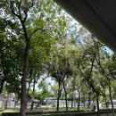 Beauty in Dog's | 호치민의 출입문, 떤선녓 국제공항 Tan Son Nhat International Airport