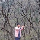 대금
