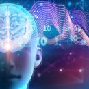 MUSCLE UP STORY 이미지