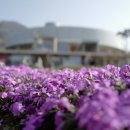 술테마박물관 이미지