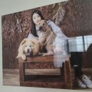 [ 인천구월점 ] 꽃비사진관 반려견 촬영 후기