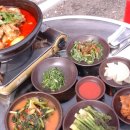 산속에토종닭