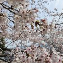 낙동제방 자전거도로 이미지