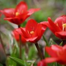 화원연합동물병원 이미지