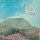 삼보타일상사 이미지