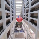 로얄룸클럽 이미지