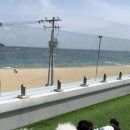 멍털연구소 이미지