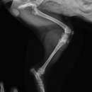 탕정동물의료센터 이미지