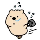 벨하이솝 이미지