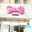 행복펫 애견미용실 이미지